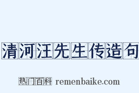 清河汪先生传造句是什么意思的图片